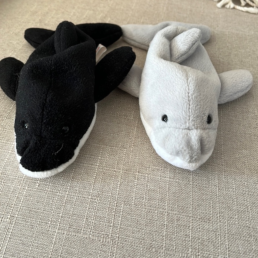 TY Beanie Babies “flash” and “splash”